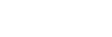 flawless white logo